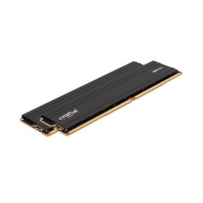 Crucial DDR5-5600 CL46 PRO 패키지 대원씨티에스 (32GB(16Gx2))