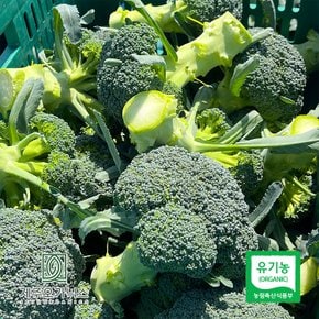 제주오가닉스 유기농 브로콜리 1kg 내외 (3송이)