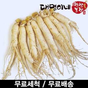 대명이네 인삼농장 (세척) 원삼 믹서 8뿌리내외 250g/인삼 수삼 주스용 홍삼용 삼계탕용