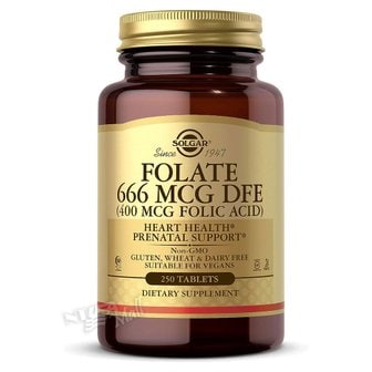 GNC 솔가 엽산 666 MCG (DFE FOLIC ACID 400 MCG) 250정 SOLGAR FOLIC ACID