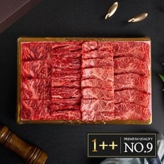 [명절 후 배송][냉장] [한우대가 No9] 1++(9등급) 프리미엄 구이1호 1.2kg(채끝+갈비살+업진+부채) 한우선물세트