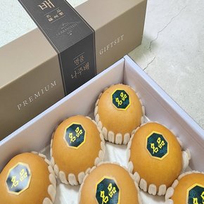 해찬 명품 나주 배 선물세트 5kg (8-10과)