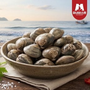 [마녀바스켓] 남해안 통통한 왕바지락(문어바지락) 1kg
