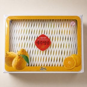 [9/15(화) 순차출고] 갓따온 제주 황금향 선물세트 2kg 중과 6-10과