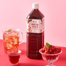 지투지샵 이제부터 냉침한 진짜 오미자청 1L 1병
