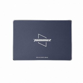 타무즈 GK500 SSD (128GB)