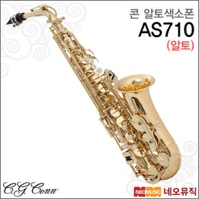 알토 색소폰 Conn AS710 / AS-710 입문자/콘셀마