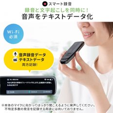 산와 다이렉트OCR USB Wi-Fi 400-SCN060  펜형 스캐너 번역기 영어 한국어 등 대응 사전 보이스