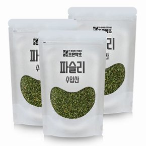 굿허브 파슬리 분태 100g x 3