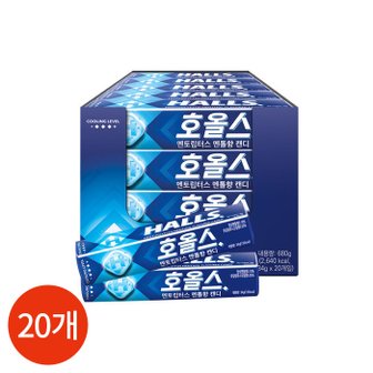  호올스 멘토립터스 멘톨향 캔디 27.9g x 20개