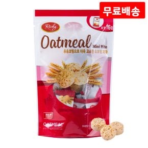 오트밀 미니바이트 40g X 15 리치 개별포장 미니간식 귀리크래커 곡물