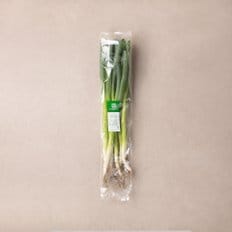  대파 (750g내외)