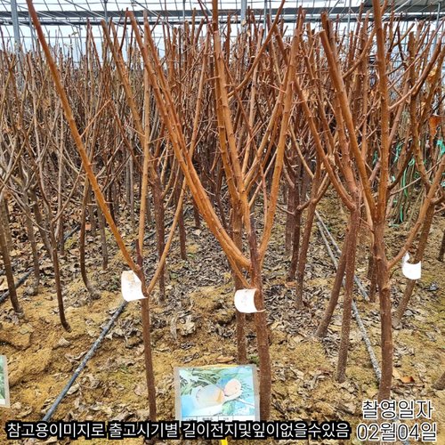 추가이미지5