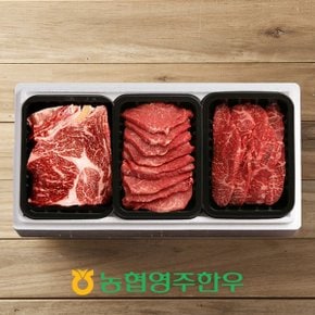 [농협영주한우]1++(근내지방도8) 로스모듬구이 한판 2호 / 총 600g (등심200g,모듬구이200gx2)