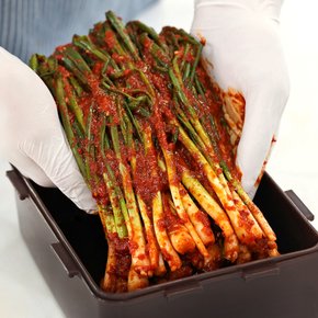 통에 담은 파김치 1.5kg