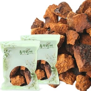 최상품 시베리아 러시아 차가버섯 500g x 2개