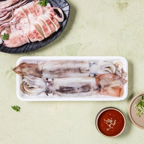 [SSG] [생물][국산] 생오징어 (마리) (미손질)