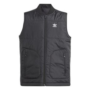 VEST (IJ0741)