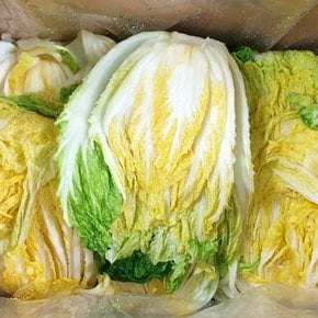 강원도 고랭지 절임배추 10kg(3~5포기내외)