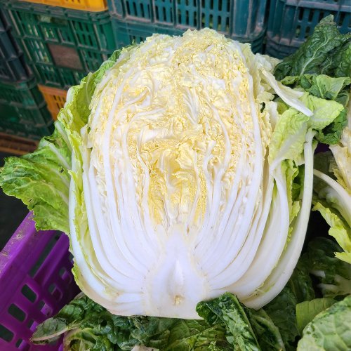추가4이미지