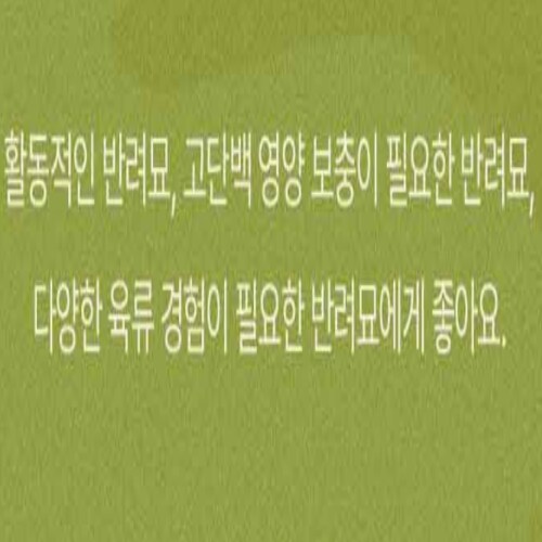 추가이미지