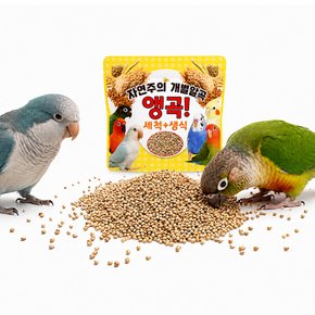 앵무새 간식 세척 볶음 알곡 사료 100g 먹이 간식 기장 조 들깨 씨드 홍화씨 해바라기씨