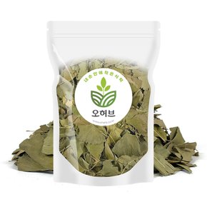 은행잎 100g 국내산 100%