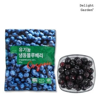 딜라잇가든 냉동 유기농 블루베리 500g x 10