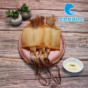 바로먹는 촉촉 순살오징어 480g/6마리