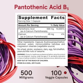 자로우 포뮬러스 판토텐산 B5 500mg 100베지캡슐 X 2통
