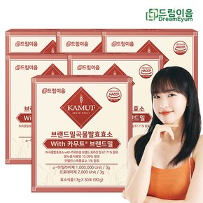 드림이음 최하슬 카무트 효소 브랜드밀 곡류 발효효소 6개월분