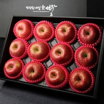 과일愛 사과 선물세트 특A4호 (12과 - 3.7kg)