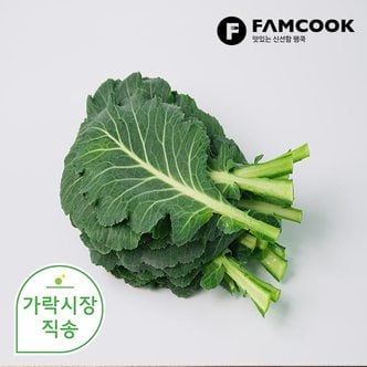 팸쿡 가락시장직송 녹즙케일 1단 (약 500g)