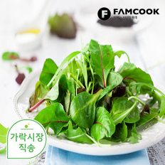 팸쿡 가락시장직송 적치커리 1.8-2kg