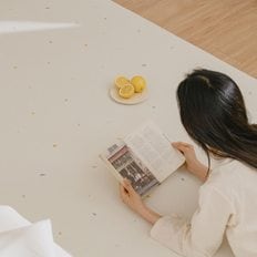 더스트앤드 쿠션 롤매트 젤리로카 140x500x0.55cm (5M규격형)