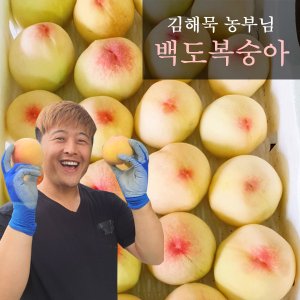 참다올 [6월 25일부터 순차출고]산지직송 예천복숭아 백도 2.5kg(14과내, 중과)