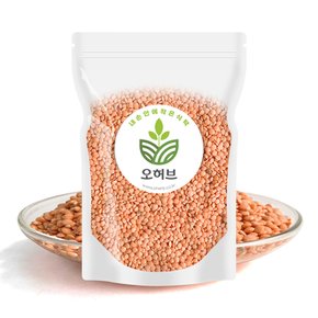 렌틸콩 렌즈콩 레드 렌틸콩밥 250g