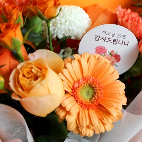 상품이미지4
