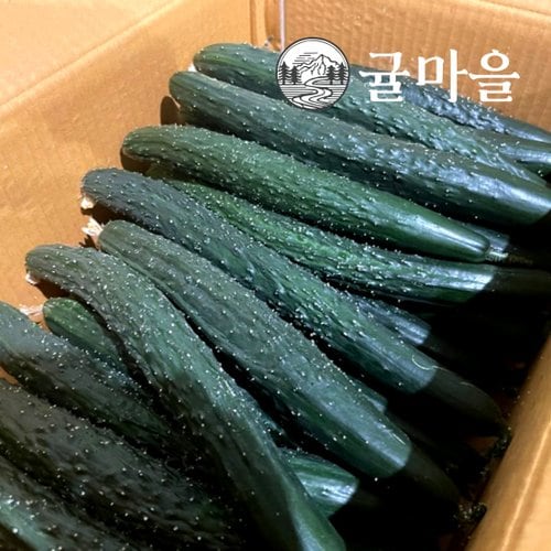 추가1이미지