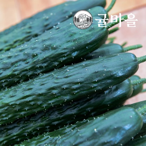 추가4이미지