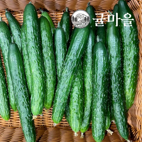 추가5이미지