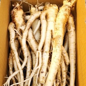 세척 나물도라지 1kg