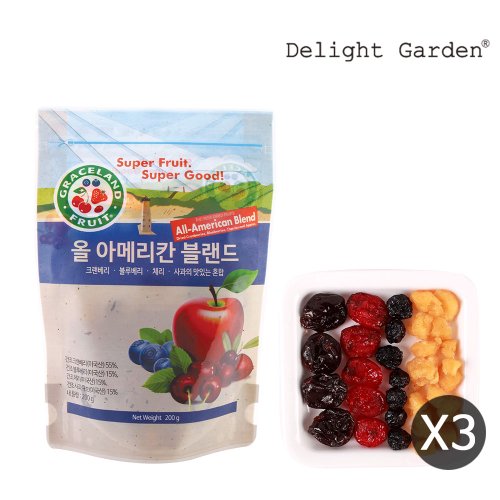 딜라잇가든 건조과일 올 아메리칸 블랜드 200g x 3