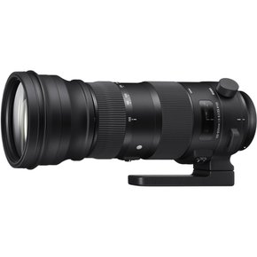 S 150-600mm F5-6.3 DG OS HSM (니콘 마운트/풀프레임용)