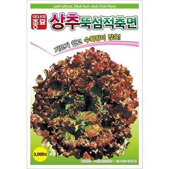 아시아종묘 상추씨앗종자 뚝섬적축면 (3000립) 꽃상추