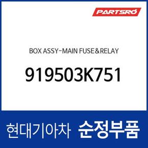 박스-메인 퓨즈  릴레이 (919503K751) 그랜저TG, 쏘나타NF 현대모비스부품몰