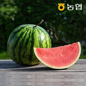 [유명산지] 자연맛남  농협선별 부여 씨없는 수박 1통 (8kg이상)