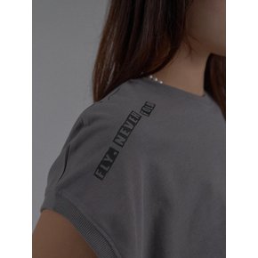Dropped Shoulder Lettering Crop T-Shirt_Gray