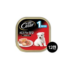 강아지캔 1세이하 쇠고기와 달걀 100G 12캔