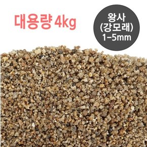 대용량 왕사(강모래) 1-5mm 4kg 어항장식 수조 소일 바닥재 모래